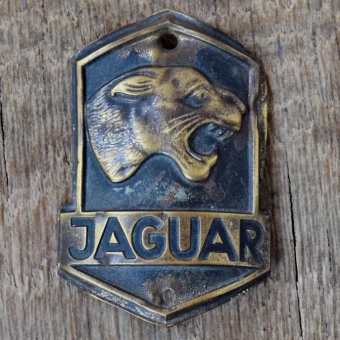 Steuerkopfschild JAGUAR, 50er Jahre, Originalschild aus Sammlungsbestand 